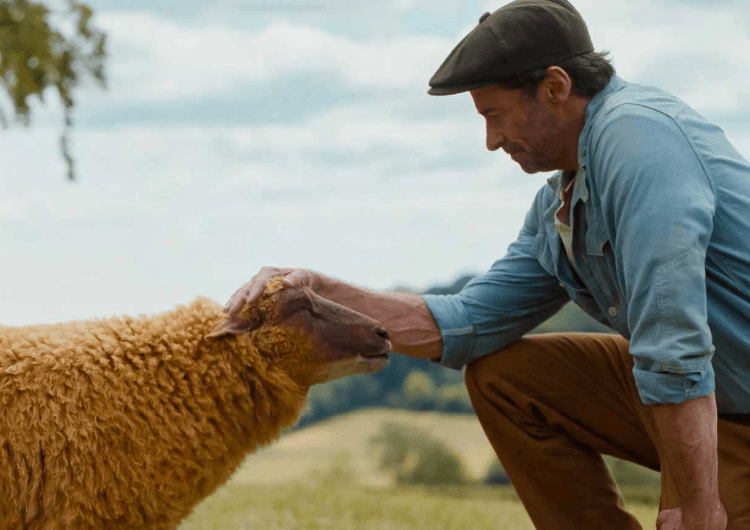 The Sheep Detectives